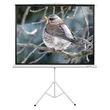 Kép 1/2 - FUNSCREEN 118" (4:3) manuális hordozható vetítővászon (Méret:180x240 cm)