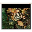 Kép 1/5 - FUNSCREEN 100" (4:3) Premium Plus motoros vetítővászon Méret: 213x157, Látható méret:203x152 cm)