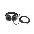 Kép 3/5 - KENSINGTON K83451WW Fejhallgató mikrofonnal (H2000 USB-C Headset)
