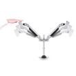 Kép 2/9 - MULTIBRACKETS 2 karos asztali konzol, M VESA Gas Lift Arm Dual Silver (15-32", max.VESA: 100x100 mm, 10 kg)