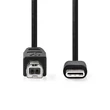 Kép 1/3 - Nedis CCGL60650BK10 USB-C dugó - USB- B dugó (USB C - USB B) kábel, 480 Mbps, 1m