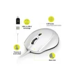Kép 1/5 - PORT DESIGNS Egér veztékes, silent, optikai, USB-C/USB, 1200/1600/2400 dpi, 1,6 m, fehér