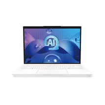 MSI Business NB Prestige 13 AI Evo A1MG-202, 13,3" QHD+ OLED, Intel Ultra 5 125H, 16GB, 1TB M.2, INT, WIN11H, White