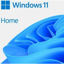 Microsoft Windows 11 Home operációs rendszer ESD licenc