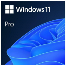 Microsoft Windows 11 Pro operációs rendszer ESD licenc