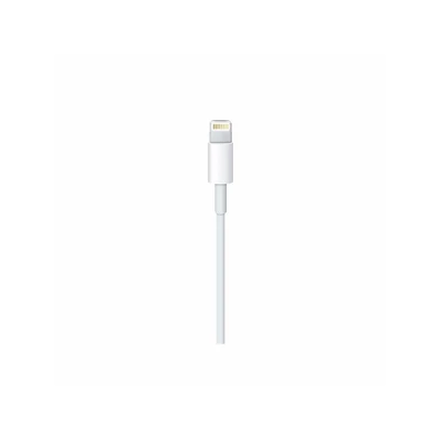 Apple Lightning to USB-C Cable (2m)