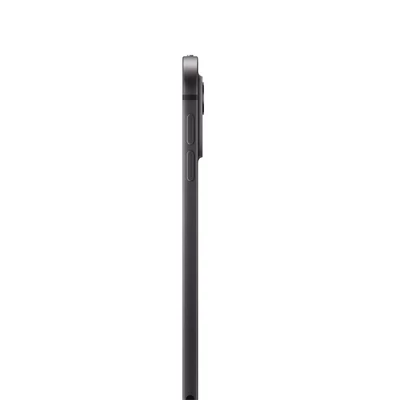 Apple iPad Pro 11 ` (M4) Cellular 1TB with Standard glass - Space Black