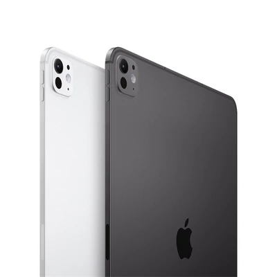 Apple iPad Pro 11 ` (M4) WiFi 1TB with Standard glass - Space Black