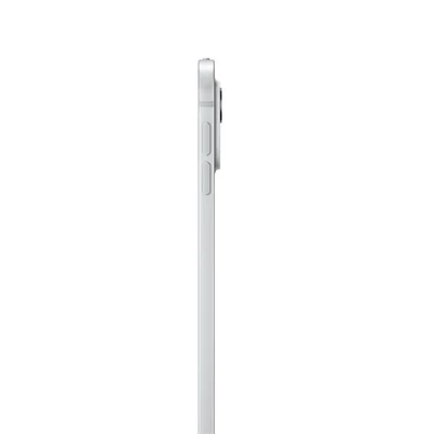 Apple iPad Pro 13 ` (M4) Cellular 2TB with Standard glass - Silver