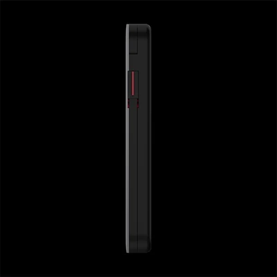 LENOVO ThinkPad ACC - Power Bank - Go USB-C Laptop (10000mAh + Qi Wireless)